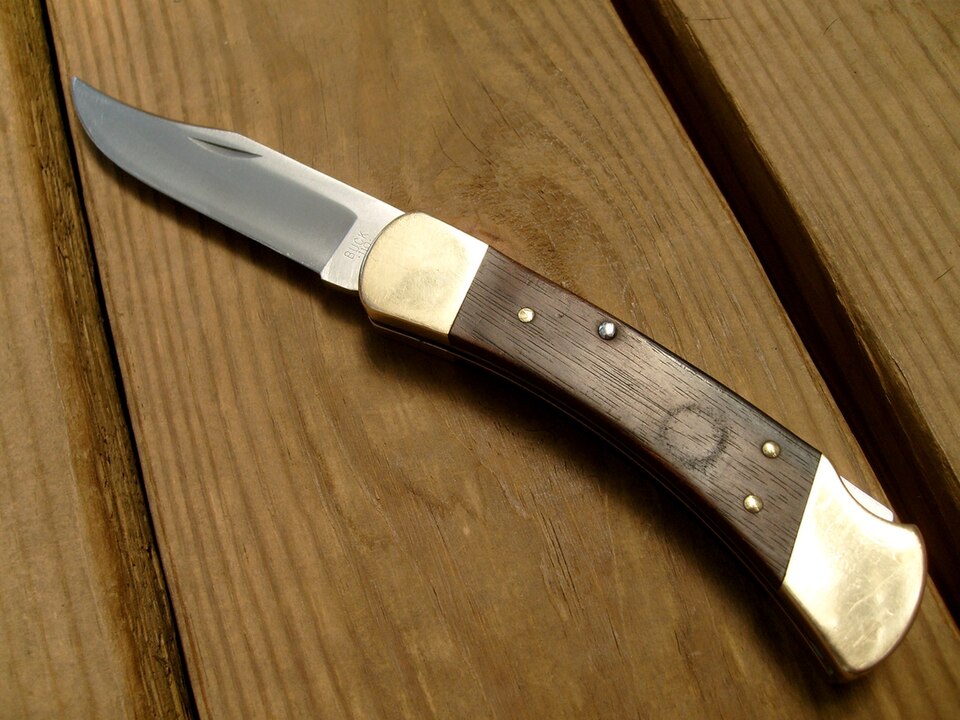 Buck 110 Folding Hunter