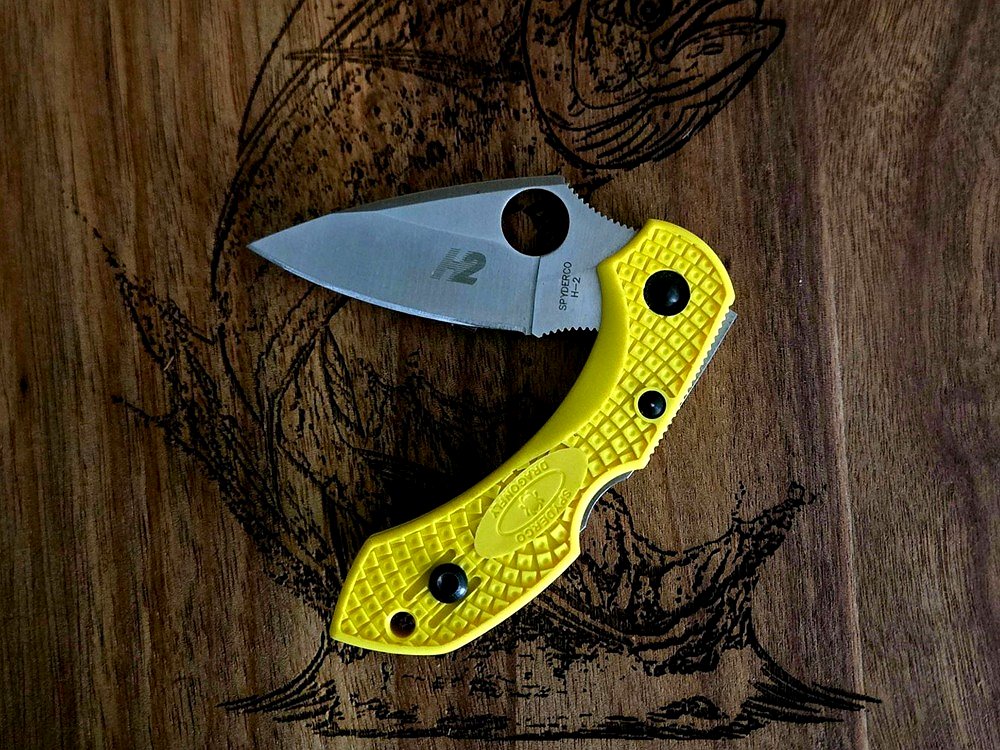 Spyderco Dragonfly 2 Salt